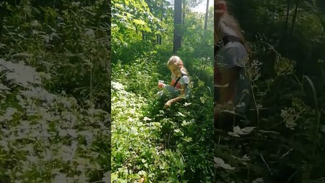 Земляника.. Гуляем с мамой смотреть онлайн