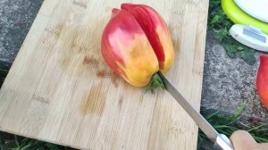 Сорт томата -  Сердце Марты (Martha's Heаrt )