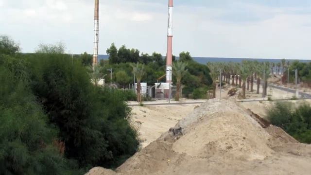 миттельшнауцер Арчи 25 - дневной дозор дневной дозор 3 смотреть онлайн