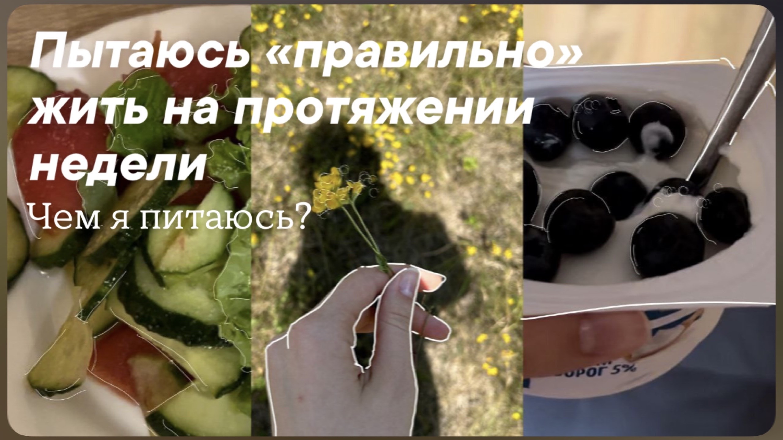 Summer days in my lifel productive summer смотреть онлайн