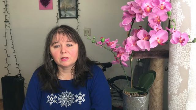 #3 АМЕРИКА. КАК Я СТАЛА ВИДЕОБЛОГЕРОМ? ОЛЬГА БРУКМАН. смотреть онлайн
