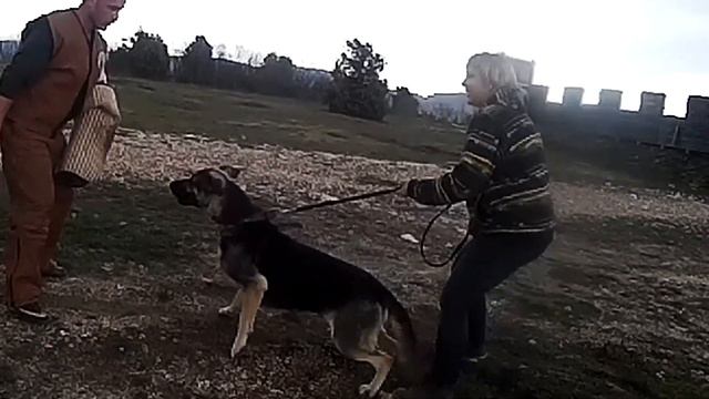 Преданный Друг Жесика смотреть онлайн