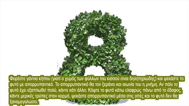 Υγρό Πιάτων - 10 Απίστευτες Χρήσεις смотреть онлайн