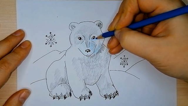 Как нарисовать медведя. Рисуем и раскрашиваем белого медведя смотреть онлайн