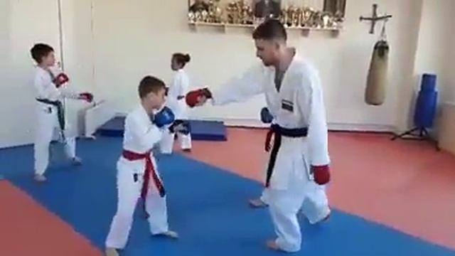 Тренировка с чемпионом по каратэ стиль шотокан. Кумитэ спаринг смотреть онлайн