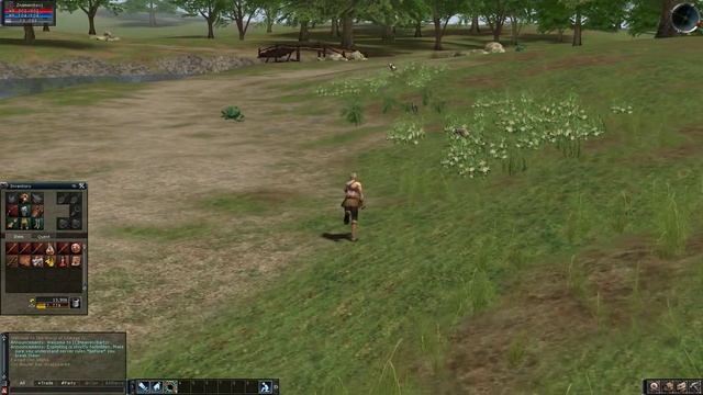 Lineage 2 C1 x1 Ловлю духов зеркал, бегу на другой конец острова, не добегаю - Прохождение Часть 13 смотреть онлайн