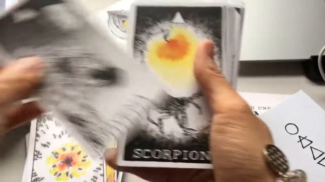 Wild Unknown Animal Spirit Oracle - Unboxing & Reading смотреть онлайн