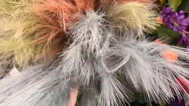 Dollar Tree Jackpot Halloween, Fall & New Amazing Decor At The Dollar Tree