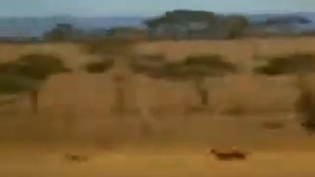 Руководство по Мастерству