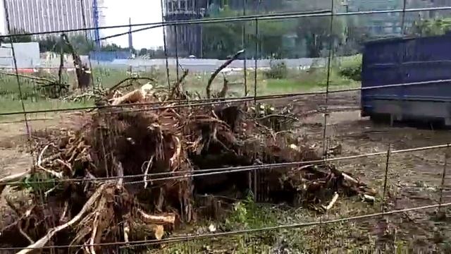 Прогулка по Удальцовских прудам смотреть онлайн