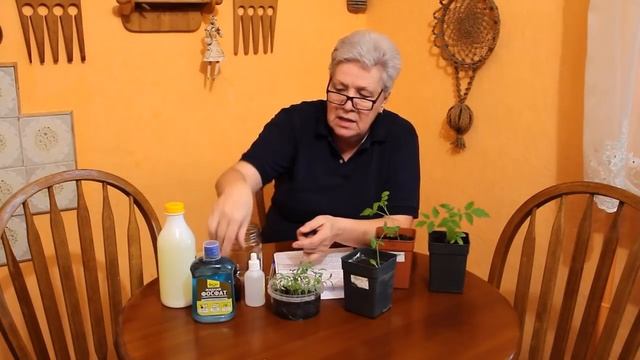 88 Вода, сыворотка, йод! смотреть онлайн