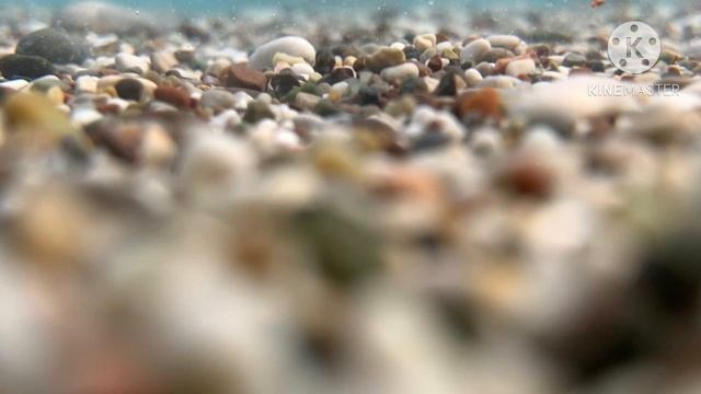 МЕТТА Медитация Любви и Благодарности. смотреть онлайн