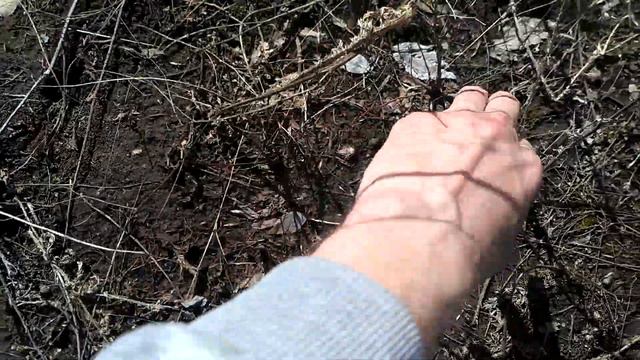 Новая школка абрикосов и персиков. смотреть онлайн