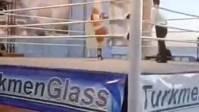 Аделина кикбоксинг