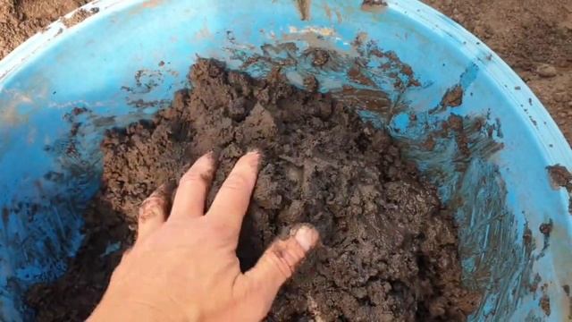 Нимфея перестала цвести Мелкие листья В чём причина смотреть онлайн