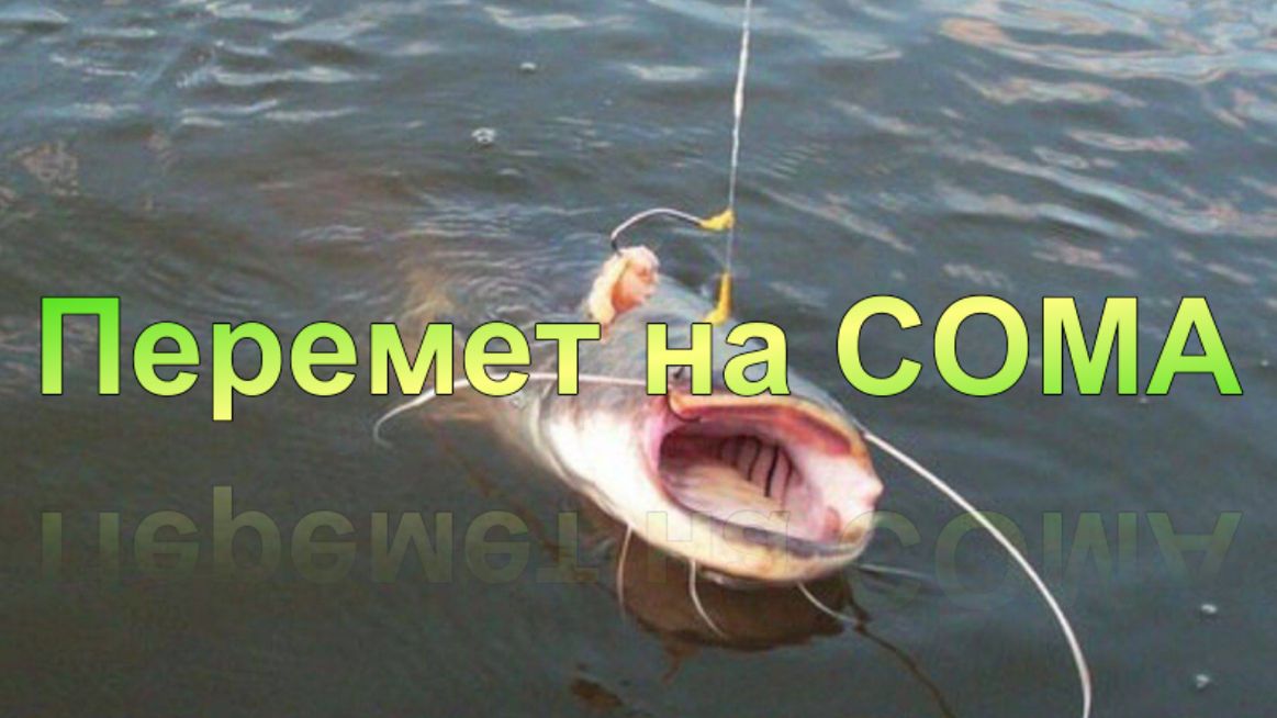 Перемёт на СОМА от А до Я. смотреть онлайн