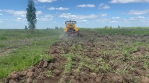 Лучший способ разработки целины. Кировец+мелиоративная борона.