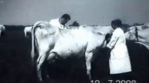 Село Студёное  Оренбургская область  Илекский район  1979 год