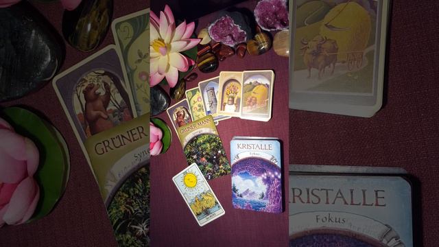 Карта дня на 26 февраля 2024! смотреть онлайн