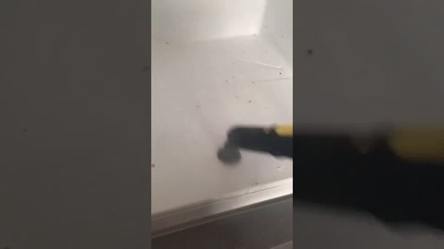 Профессиональный экологичный клининг квартиры смотреть онлайн