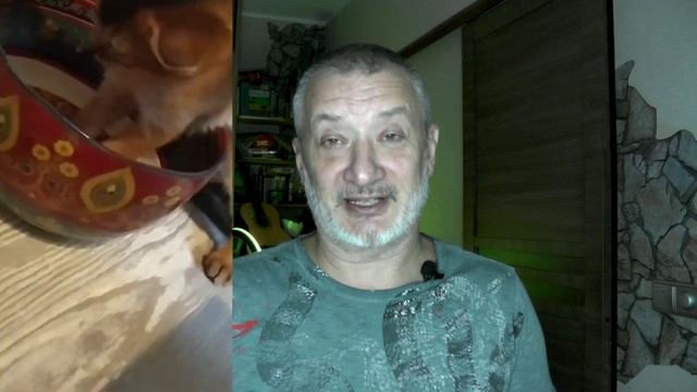 Купаться?!! Ты обалдел?!! Когда нужно купать кота. смотреть онлайн