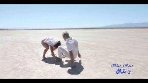 Zara Larsson   Uncover