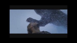 Кто же их будет всех хоронить!