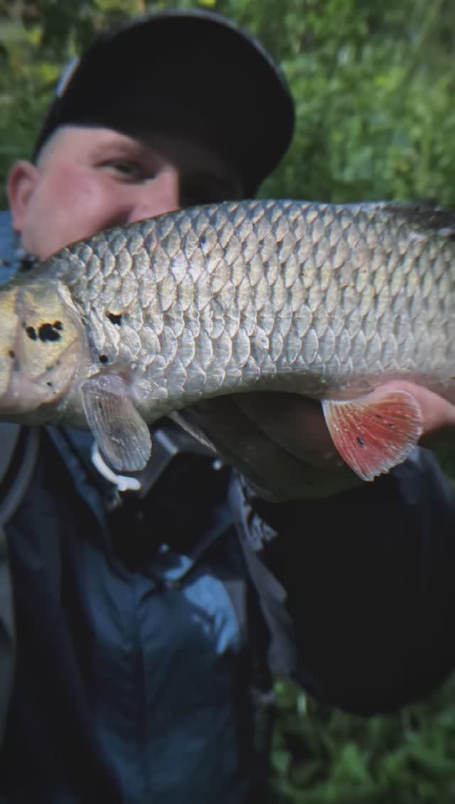 ЭПИЧНО УТАЩИЛ БЛЕСНУ 😱 смотреть онлайн