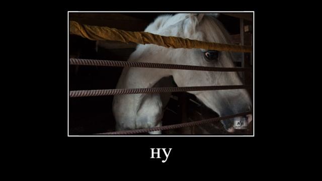 Глад Валакас звонит в тех поддержку Акадо смотреть онлайн