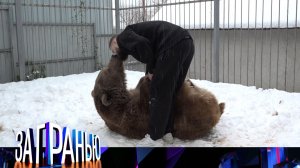 «За гранью»: «Косолапый сосед» | Выпуск от 30 ноября 2022 года