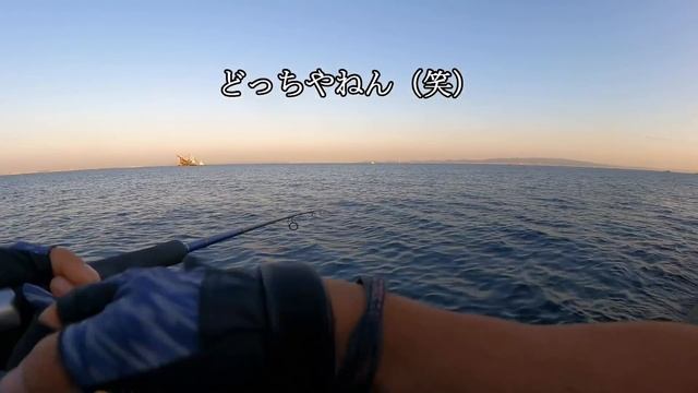 STELLA PLANETのHAJIMEさんと人工島で青物対決！【激闘のショアジギング】 смотреть онлайн