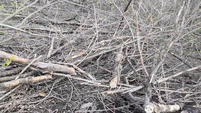 Родник и маленький пруд смотреть онлайн