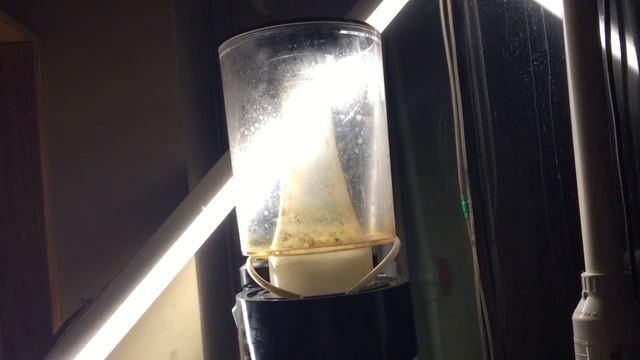 Setting A Protein Skimmer