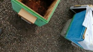 Объединение двух пчелосемей Весной