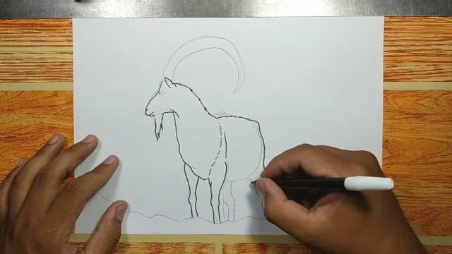 How to Draw A Mountain Goat смотреть онлайн