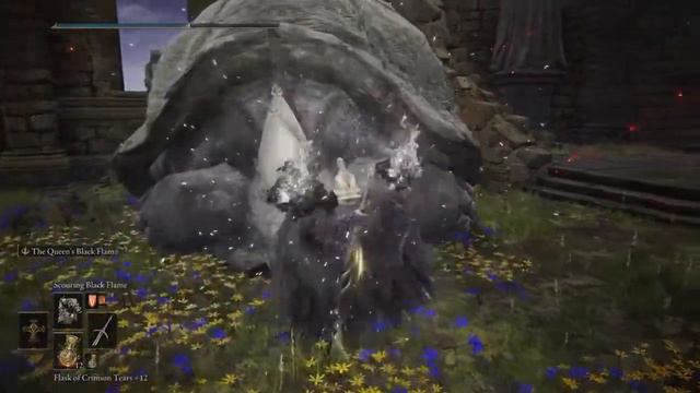 Elden Ring Black Flame Dex/Faith Build. смотреть онлайн
