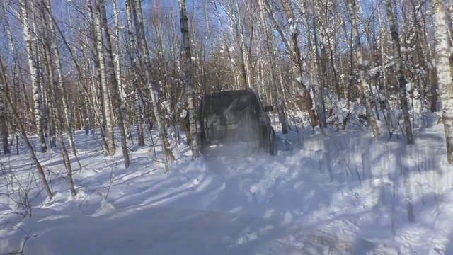 Снежным лесом на реку Вытебеть, искупаться... смотреть онлайн