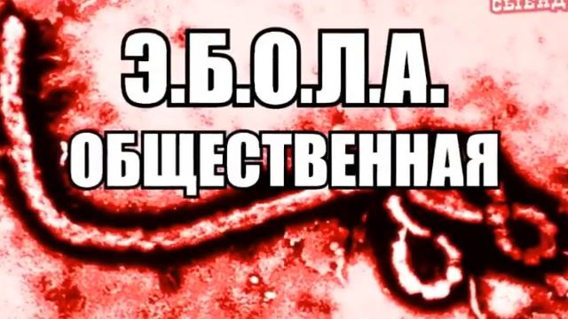 Как расшифровывается слово Э.Б.О.Л.А. смотреть онлайн