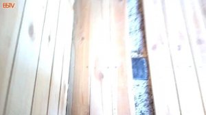 КАК СДЕЛАТЬ ПОЛ ИЗ ОБРЕЗНОЙ ДОСКИ