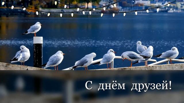 С днём друзей! смотреть онлайн