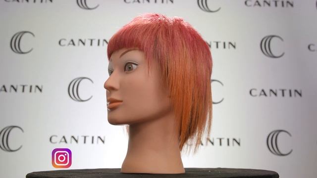 MEDIAS SOCIAUX / BES Color Reflection 2. 1 смотреть онлайн