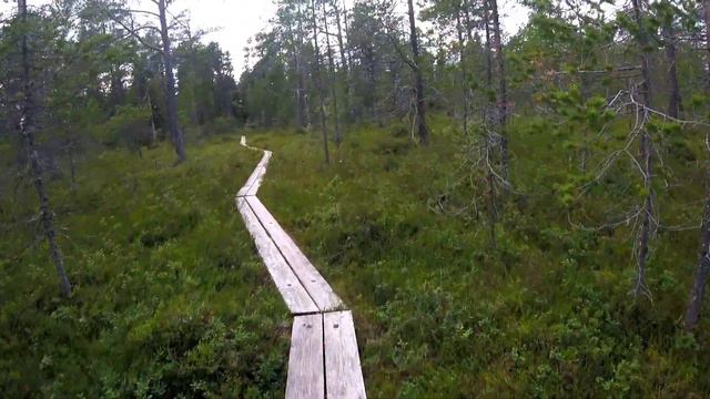 Дорога на мыс Белух с велом смотреть онлайн