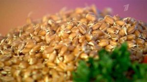 Пророщенная пшеница. Жить здорово! Фрагмент выпуска от 16.04.2015