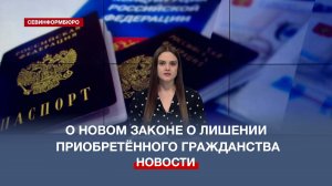Кто попадает под новый закон о лишении приобретённого гражданства РФ?