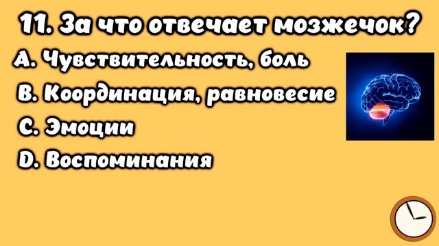 НАСКОЛЬКО СТАР ВАШ МОЗГ? ТЕСТ НА ЭРУДИЦИЮ #24 #эрудиция #викторина #тестнаэрудицию смотреть онлайн