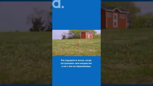 Как ощущается жизнь, когда застраховал своё имущество смотреть онлайн