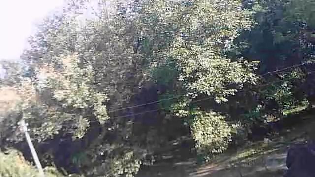 Видео c веб-камеры от 6 октября 2014 г., 23:03 (PDT) смотреть онлайн