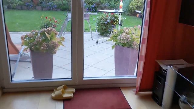 Влоги из Германии/ У друзей на шашлыках/ Завтрак/ Готовим сырный поднос