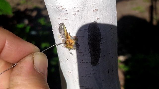 Мода и Стиль для Подростков