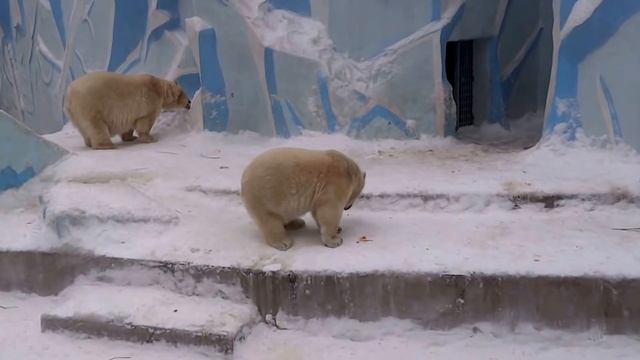 День Матери: Герде достались поздравления, медвежонку - вкусняшки:) смотреть онлайн